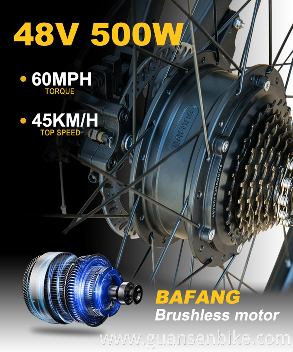 Electric Fat Tire Bike With Battery